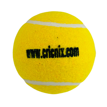 Cricnix Tapeball for Optimal Street Cricket Performance!