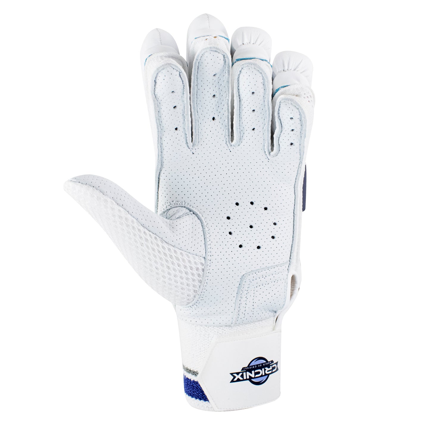 Right-hand Cricnix cricket batting glove in blue and white, featuring a sheep leather palm, touch tape strap, and visible “Cricnix” branding, styled to resemble premium softball gloves.