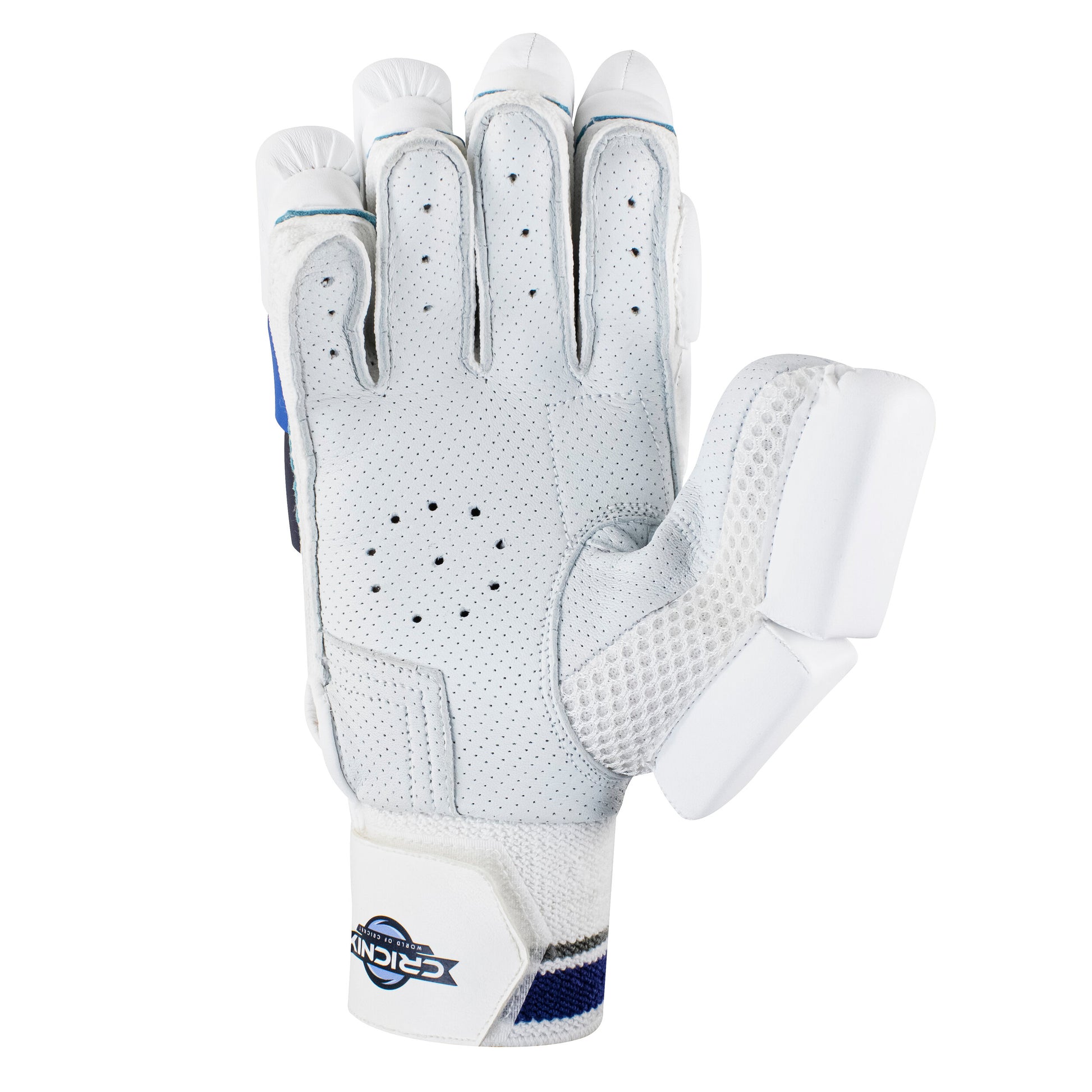 Right-hand Cricnix cricket batting glove in blue and white, featuring a sheep leather palm, touch tape strap, and visible “Cricnix” branding, styled to resemble premium softball gloves.