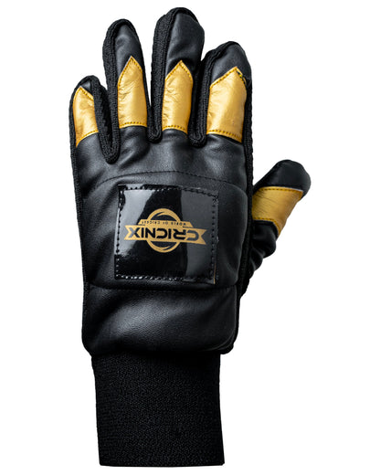 Cricnix Indoor Cricket Gloves Black and gold gloves back side with a visible brand logo on a white background