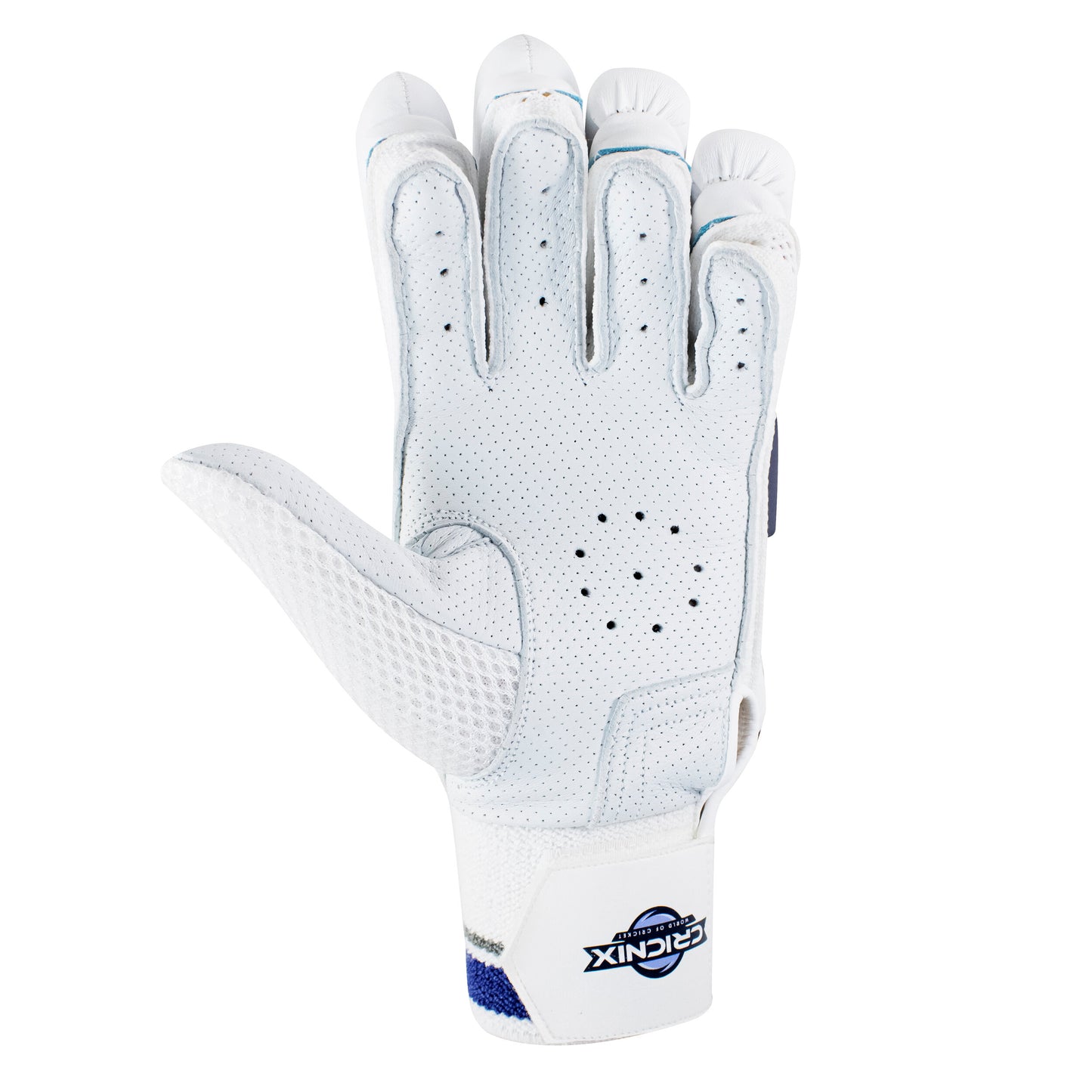 Cricket Batting Gloves